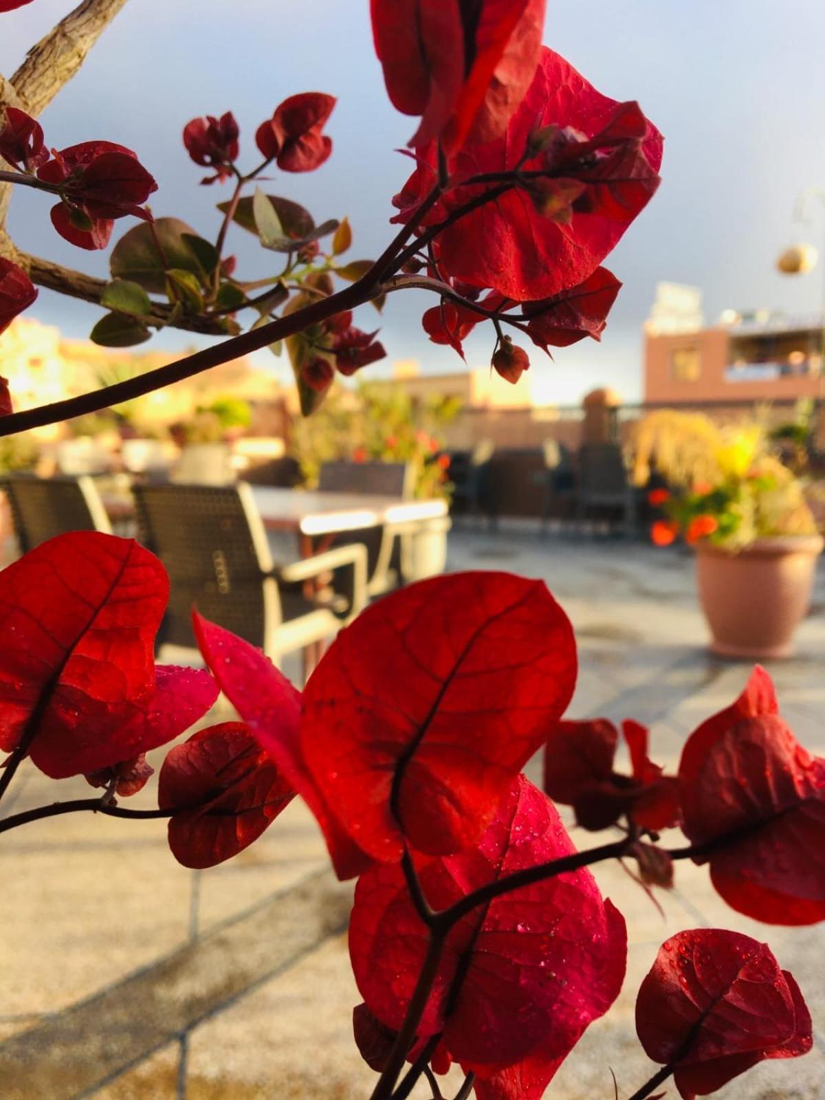Hotel Riad Atlas Dades Boumalne Dades Экстерьер фото