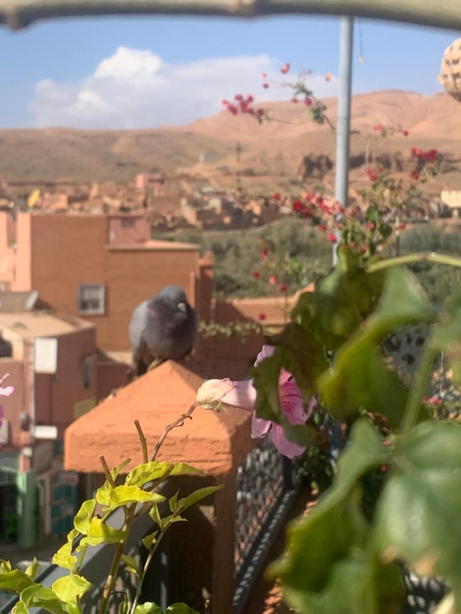 Hotel Riad Atlas Dades Boumalne Dades Экстерьер фото